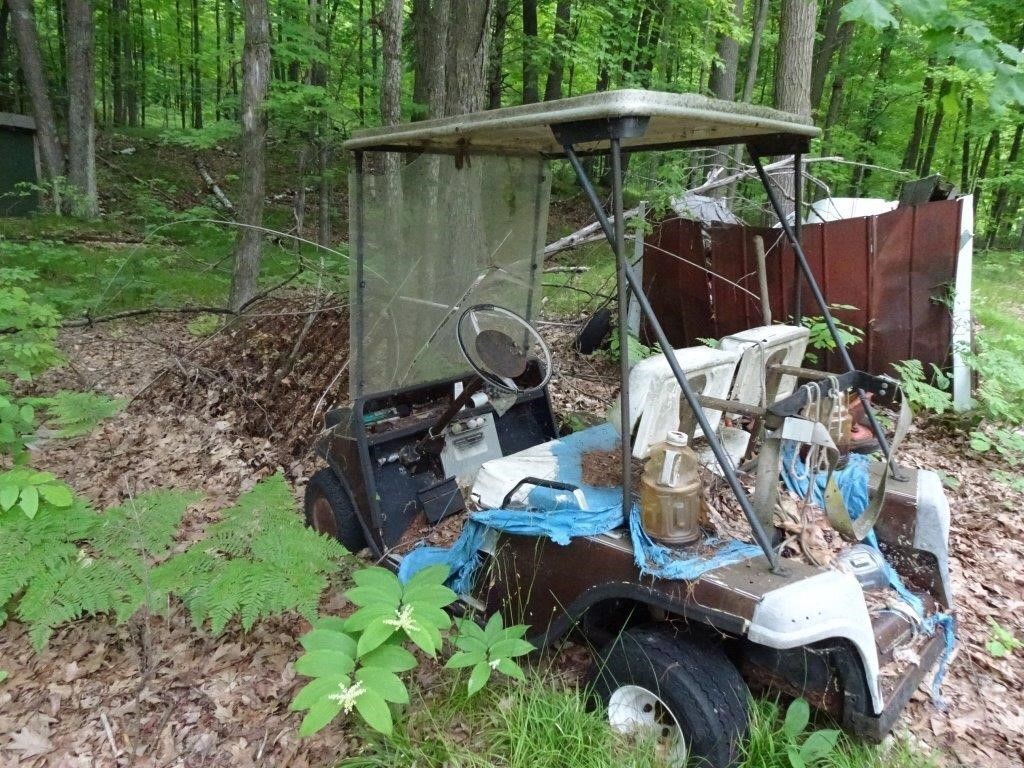 EZ-GO 2 cycle Golf Cart - Sitting for 15 years