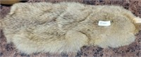 COYOTE PELT