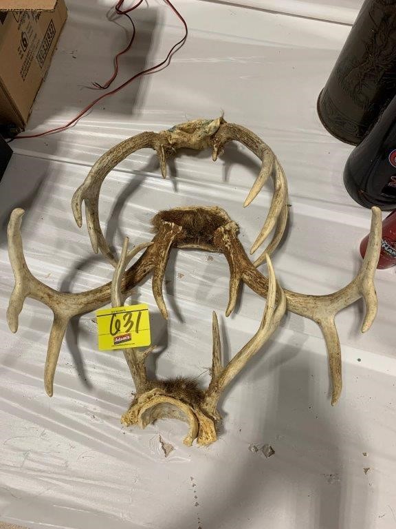 GROUP OF 3 SETS OF ANTLERS