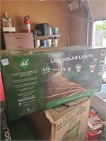 LED Solar Lights- 10 Pack