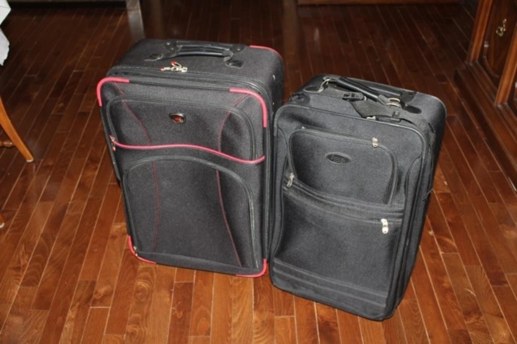 2 Luggage Cases