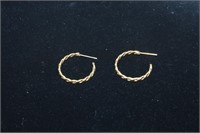 Pair of C-Hook Golden Earrings