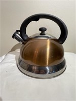 Stainless Tea Kettle