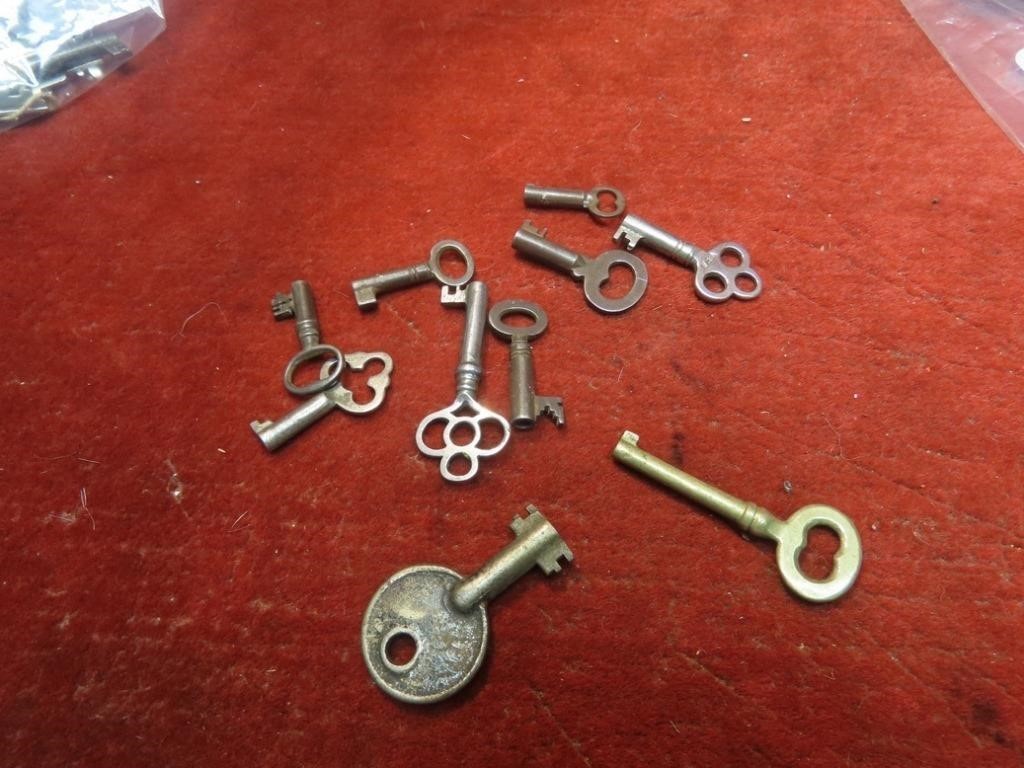(10)Skeleton keys lot.