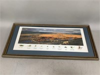 Framed Scenic Photo with Fly Fishing Hooks