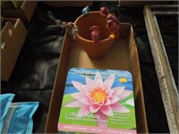 Waterlily kit, 6 perching birds & pot