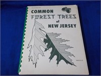 Common Forest Trees of NJ