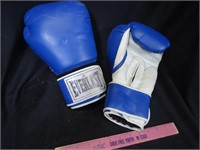 Everlast #14 boxing gloves