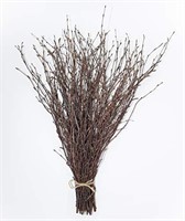 ECOVENIK - 50 psc. Birch Twigs – 100% Natural Dec