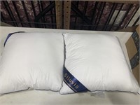 Siluvia pillows 22x22