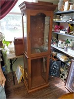 2 Door Lighted Curio Cabinet w/Glass Shelves-72t