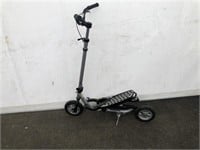 Wing Flyer Double Step Scooter