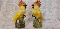 Pair Vintage Ceramic Painted Parrot