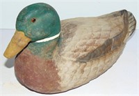 NICE VINTAGE DUCK DECOY - GLASS EYES MALLARD DRAKE