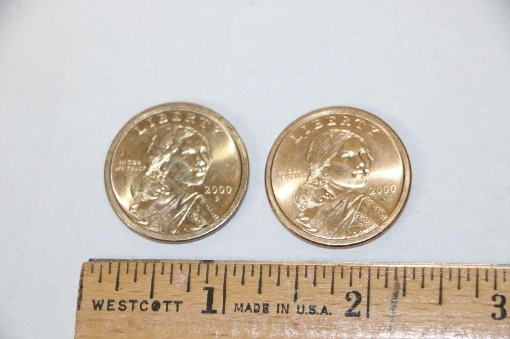 2 Native American Sacagawea Dollar Coins