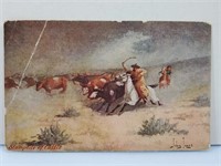 Antique Postcard Stampede Cattle by John Innes