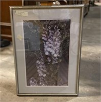 Framed Photograph of Flowers