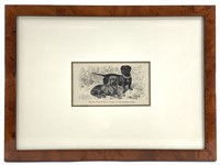 Italian Wood Engraving Dachshunds Brehm's Animals