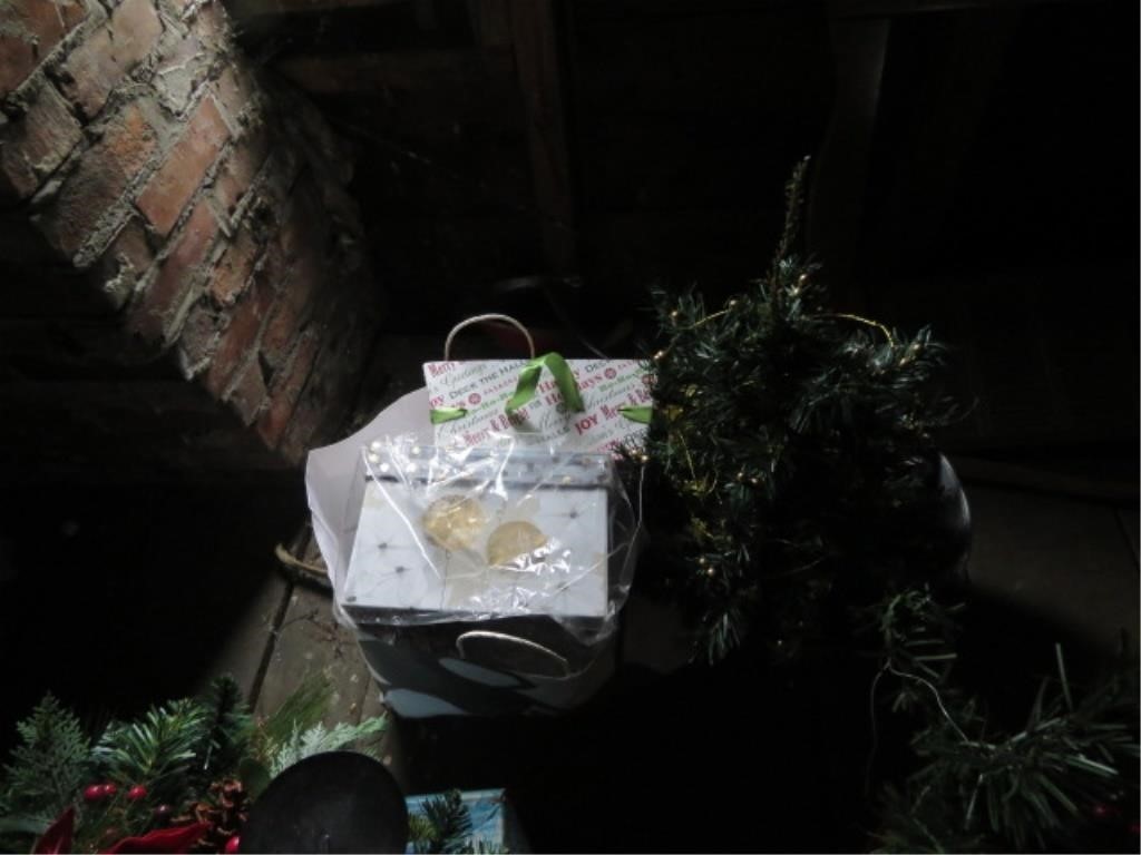 GALVANIZED BUCKET WITH SMALL TREE AND BAG