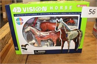 4D  vision horse anatomy model