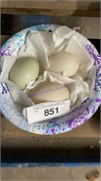 3 Fertile Mixed Duck Eggs