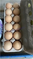 1 Doz Fertile Buckeye Eggs