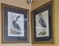 (2) FRAMED HERON BIRD PRINTS