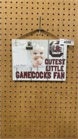 Gamecocks picture frame