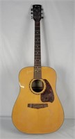 Ibanez Pf5nt Acoustic Guitar