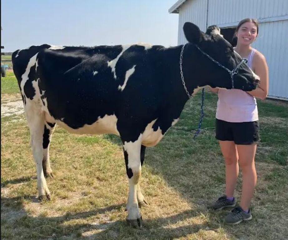 Jay County 4-H Livestock Auction