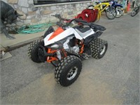 TAO Motor 4-Wheeler, 42.7 Hrs. (1642)