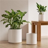 LE TAUCI 10/8/6 Inch Ceramic Planters Set