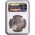 Morgan Silver Dollar 1882-S MS65 NGC toning