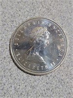 silver coin