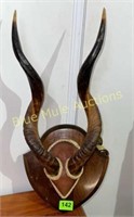 Kudu-Lesse horns on board