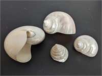 4 Pc. Sea Shell