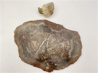 5" Inch Quartz Crystal, 15" Petrified Stone Slab