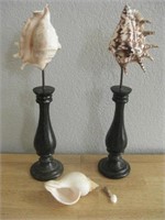 Two 13.5" Shell & Wood Deco Items & Shells