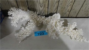 Large Coral