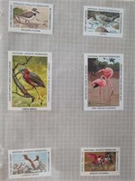 Aviary Stamps in Binder