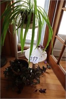 Plant Stand with (2) Live Plants(R1)
