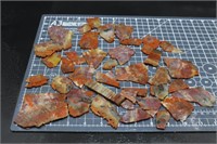 Arizona Rainbow Petrified Wood, 14oz