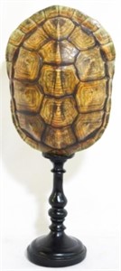 Turtle Shell Vase 9.5"