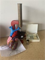 Magiscope Microscope & Heart Model Set