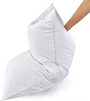 SEALED-Soft Goose Feather Pillow Set