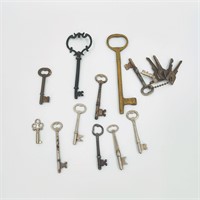 11 Metal Skeleton Keys +