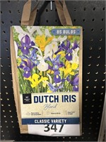 MM Dutch Iris blend variety 85 bulbs