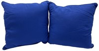 Pair of Indoor/Outdoor Pillows