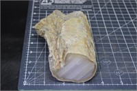 Polished Limb cast, Wyoming, 1 lb 8.6 oz