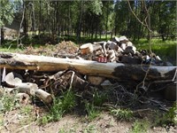 Lot 4 of  Firewood Around 5 Cords